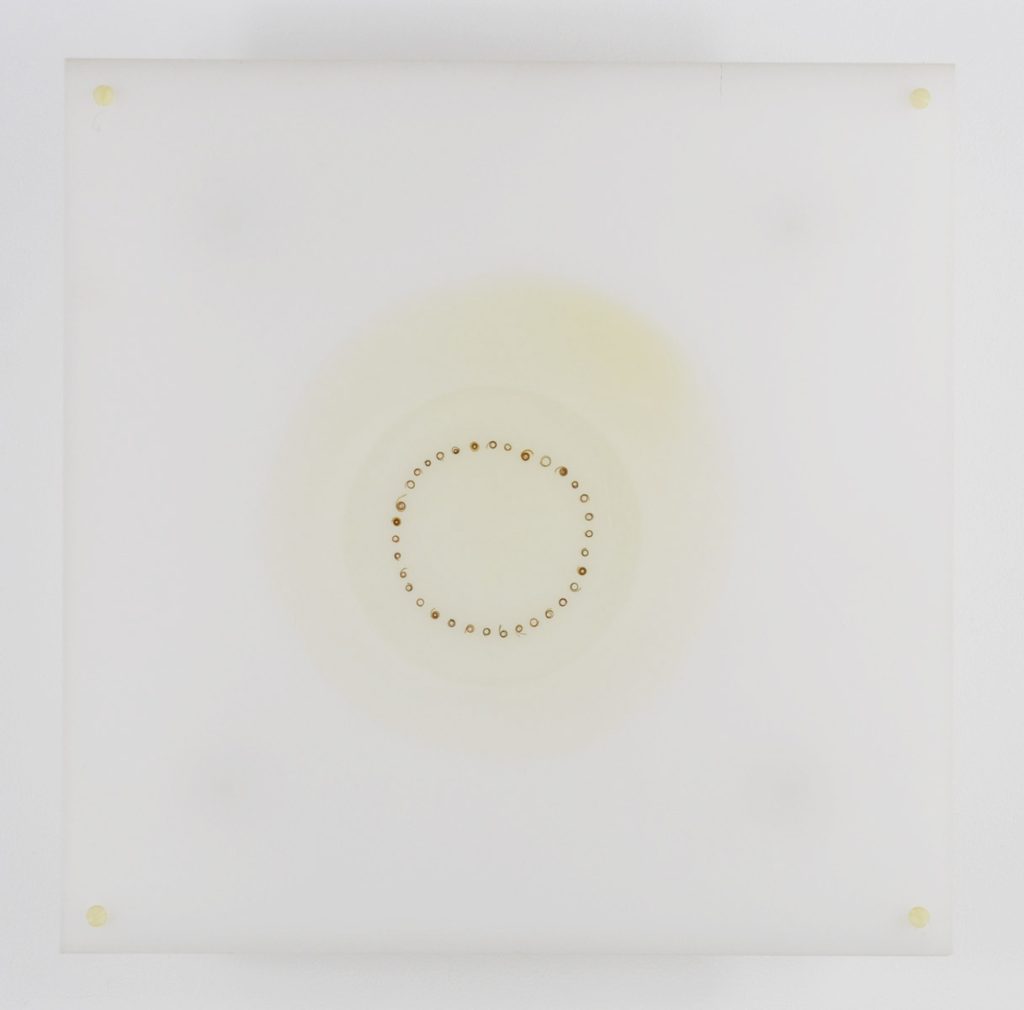 Gabinete de arte Castillete Cardozo