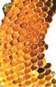 Gabinete de arte Castillete KUHN panal