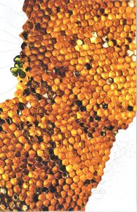 Gabinete de arte Castillete KUHN panal