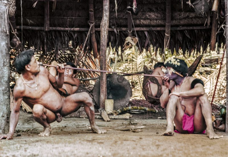 Herreros Yanomami Yopo